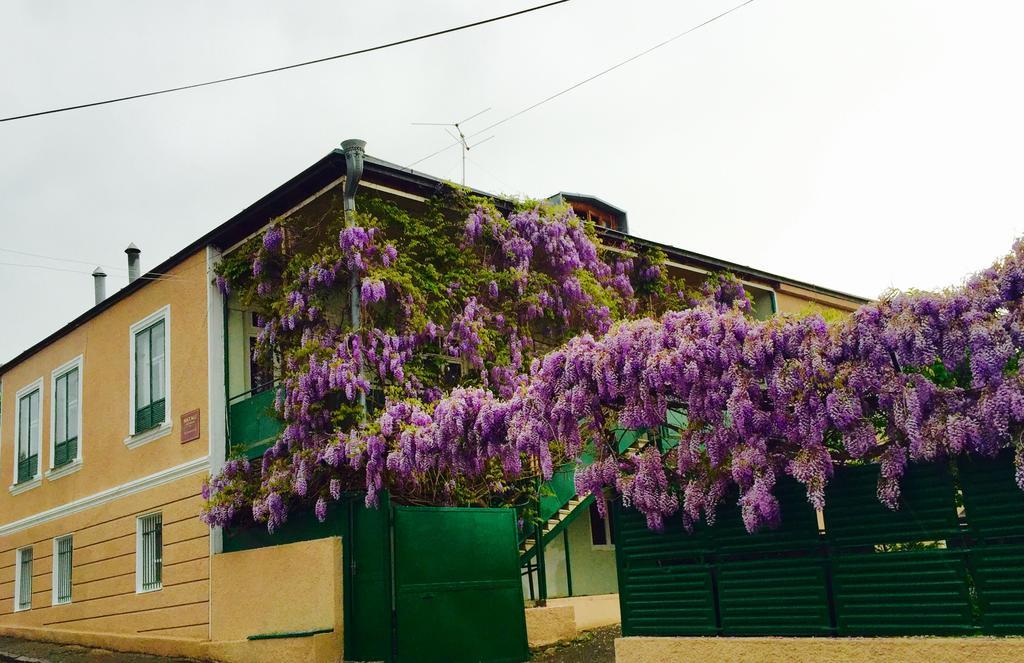 Guesthouse Natali Telavi Exteriör bild